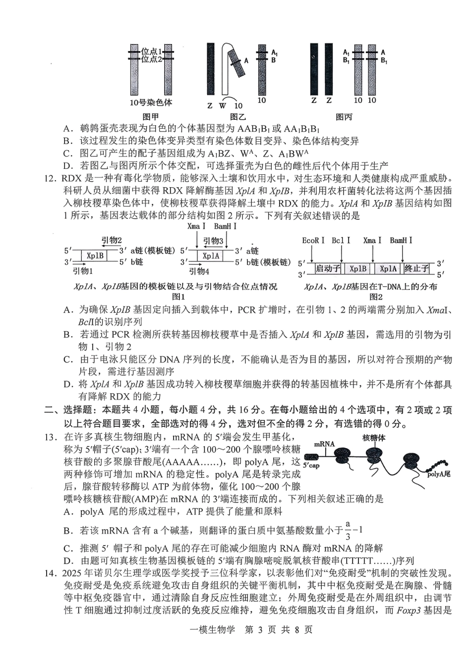 上饶市2026届高三年级第一次高考模拟考试生物.pdf_第3页