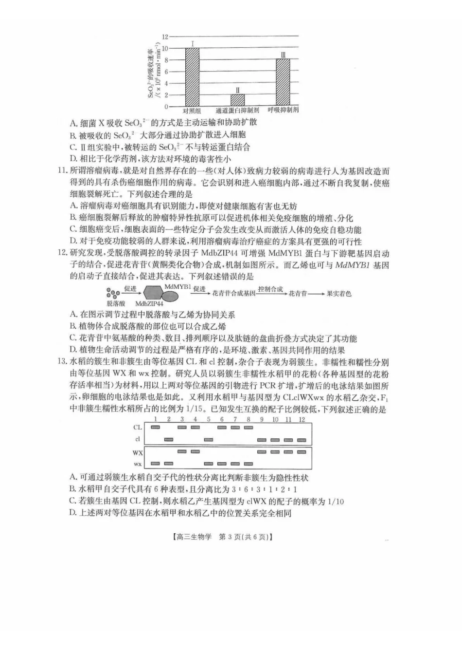 生物(26-225C(四川达州市金太阳2026届高三上学期1月期末联考(26-225C)(1.26-1.27).pdf_第3页