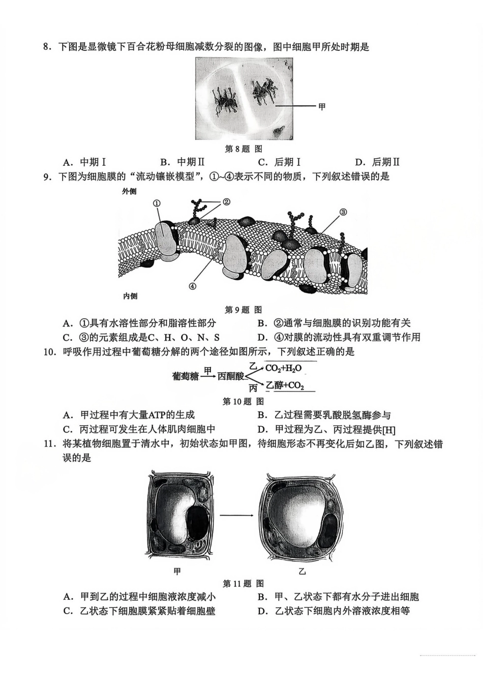 生物(A类)浙江温州市2025学年第一学期高一年级期末质量评价题库(1.28-1.30).pdf_第2页