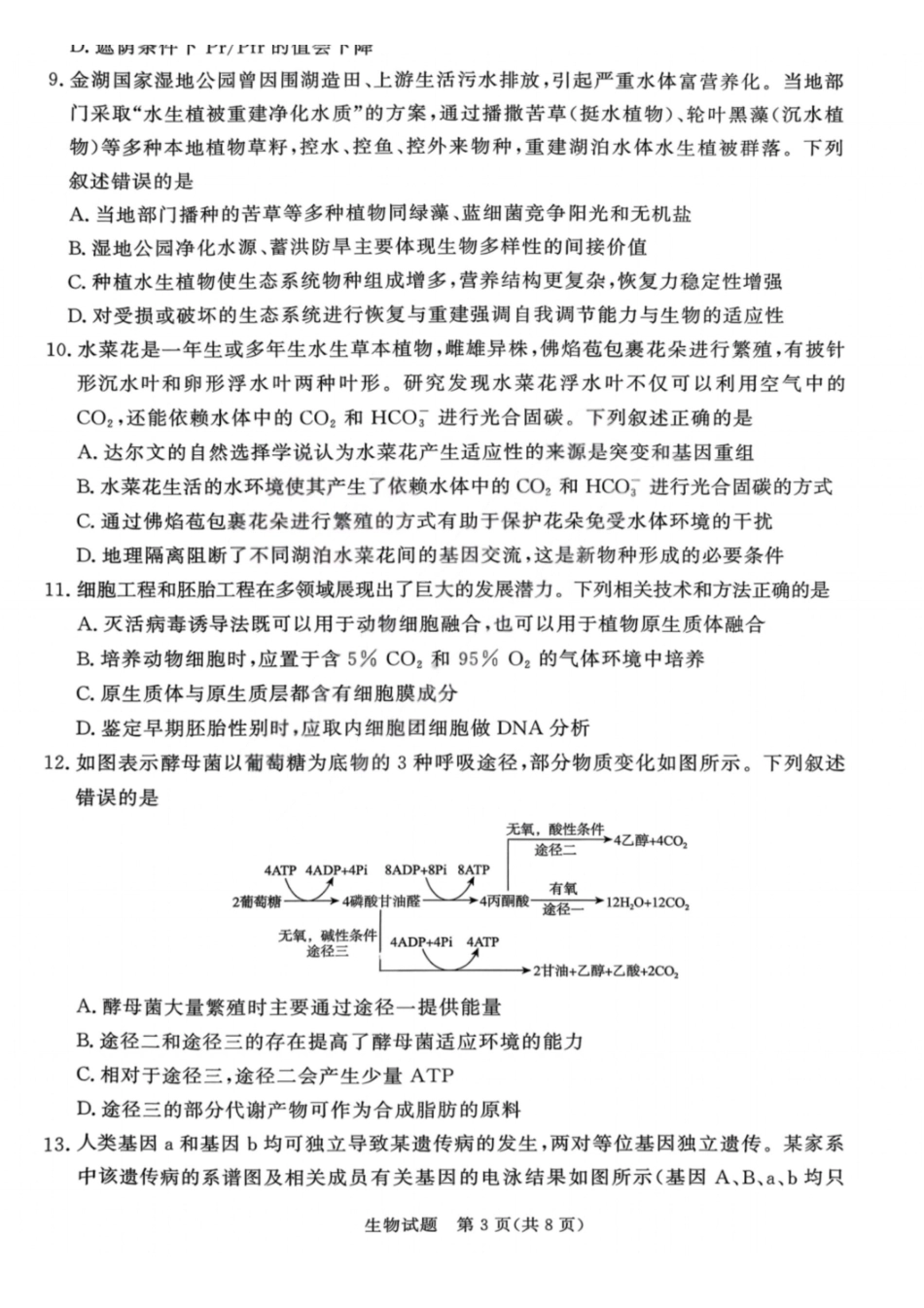 生物(拍照)河南青桐鸣大联考普通高中2025-2026学年(上)高三年级期末考试(2.5-2.6).pdf_第2页