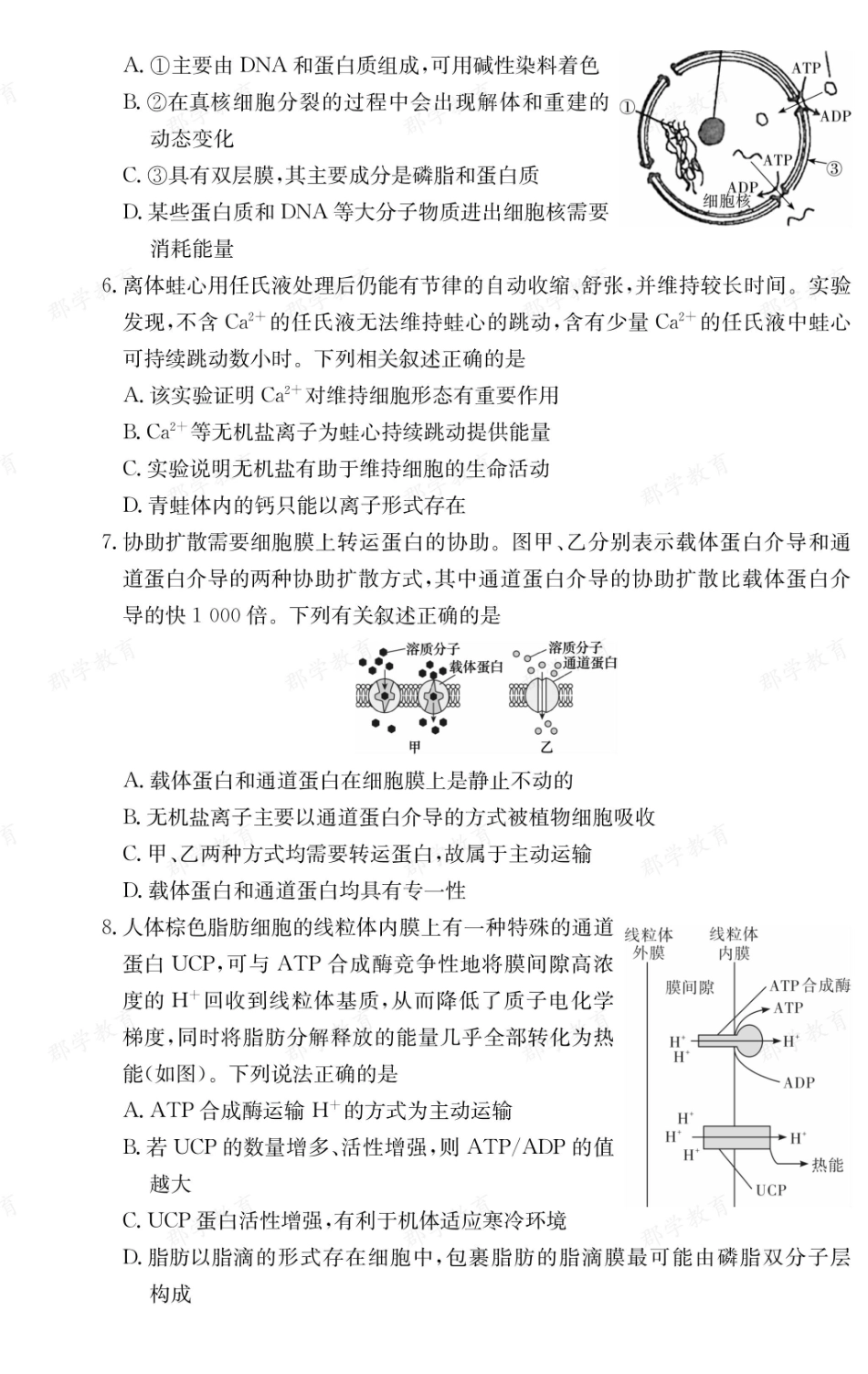 生物【全国前五高中】湖南长沙市长郡中学2025-2026高一上学期期末考试(1.27-1.29).pdf_第2页