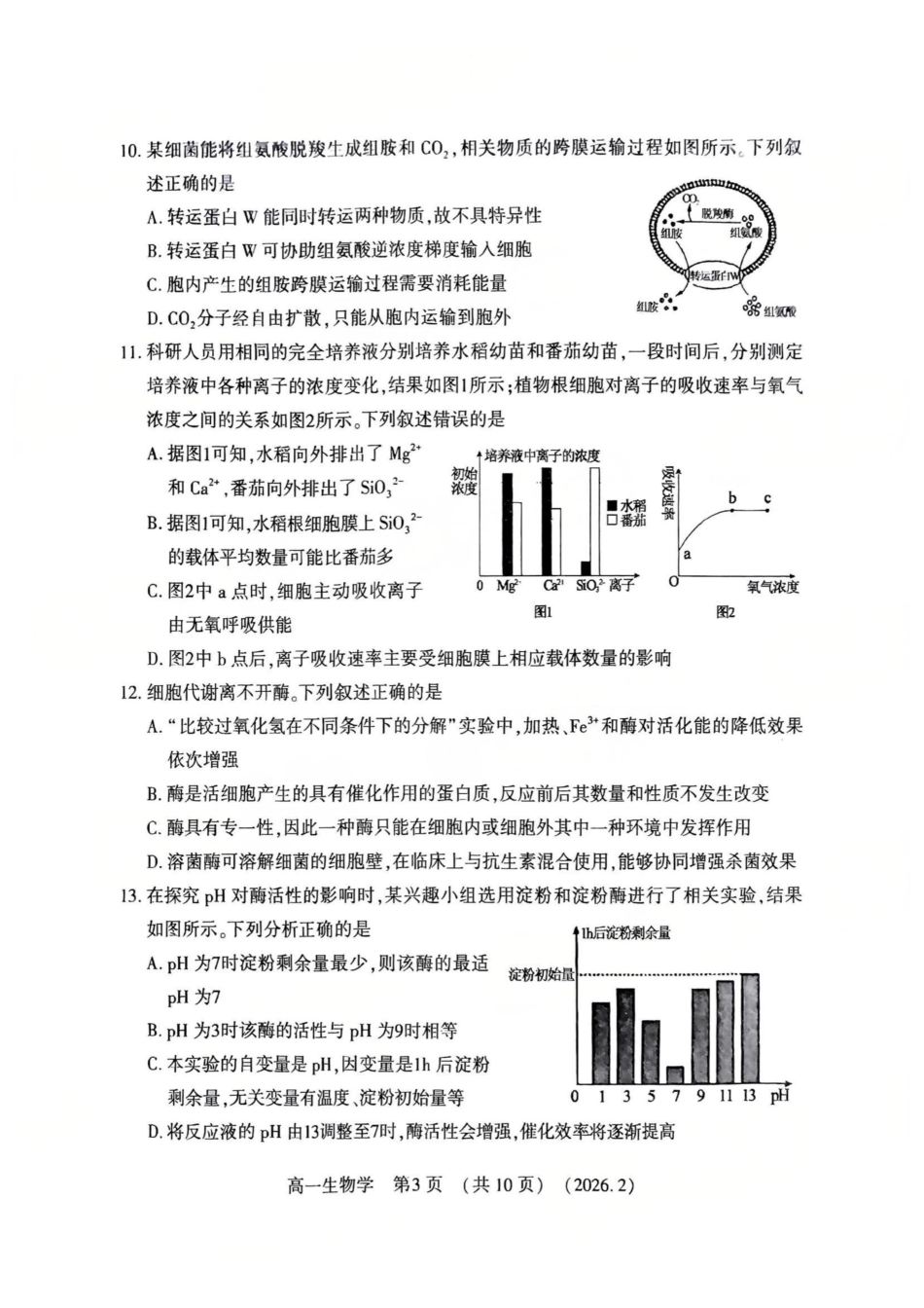 生物+答案河南洛阳市2025-2026学年第一学期高一年级上学期期末考试(2.5-2.6).pdf_第3页