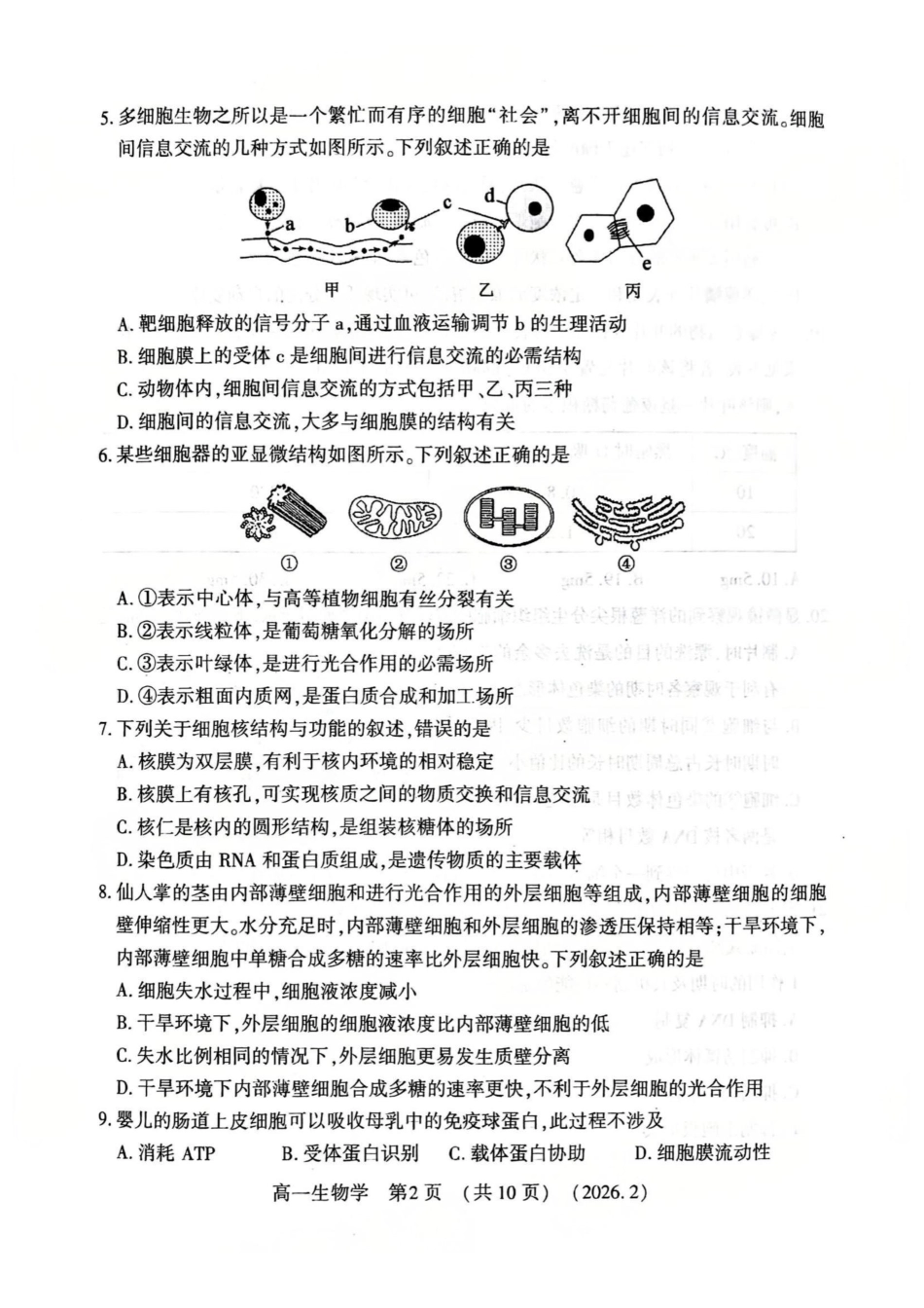 生物+答案-河南洛阳市2025-2026学年第一学期高一年级上学期期末考试(2.5-2.6).pdf_第2页