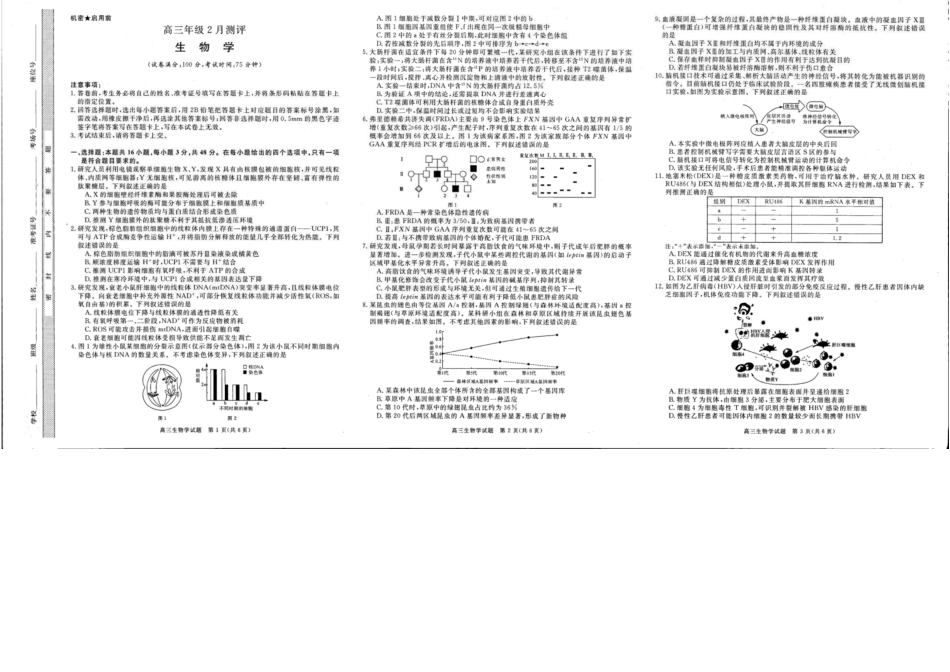 生物+答案河南新未来2026届高三年级上学期2月期末测评(2.5-2.6).docx_第1页