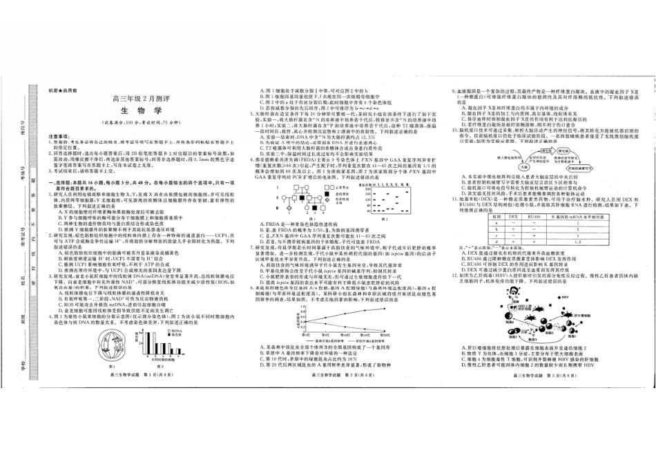 生物+答案河南新未来2026届高三年级上学期2月期末测评(2.5-2.6).pdf_第1页
