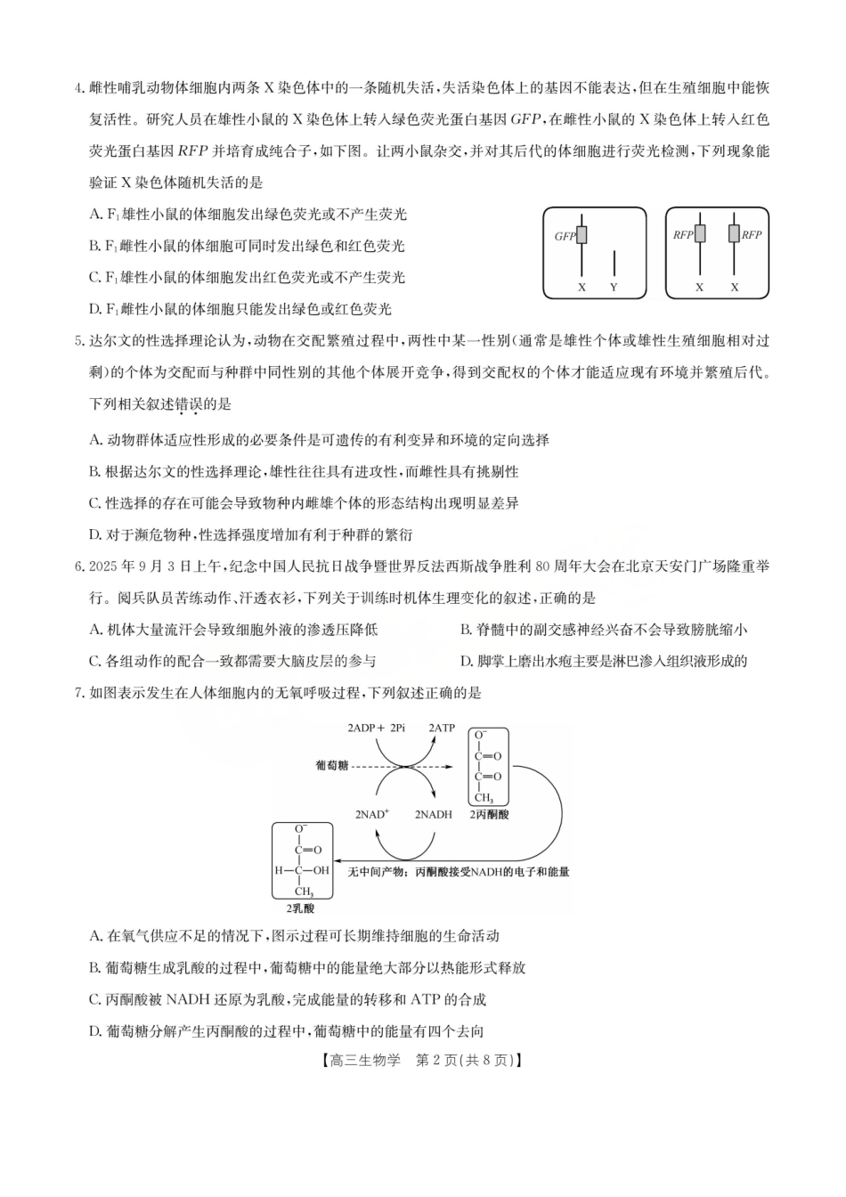 生物+答案湖北十堰市2026年高三年级元月调研考试(十堰元调)(1.28-1.29).pdf_第2页