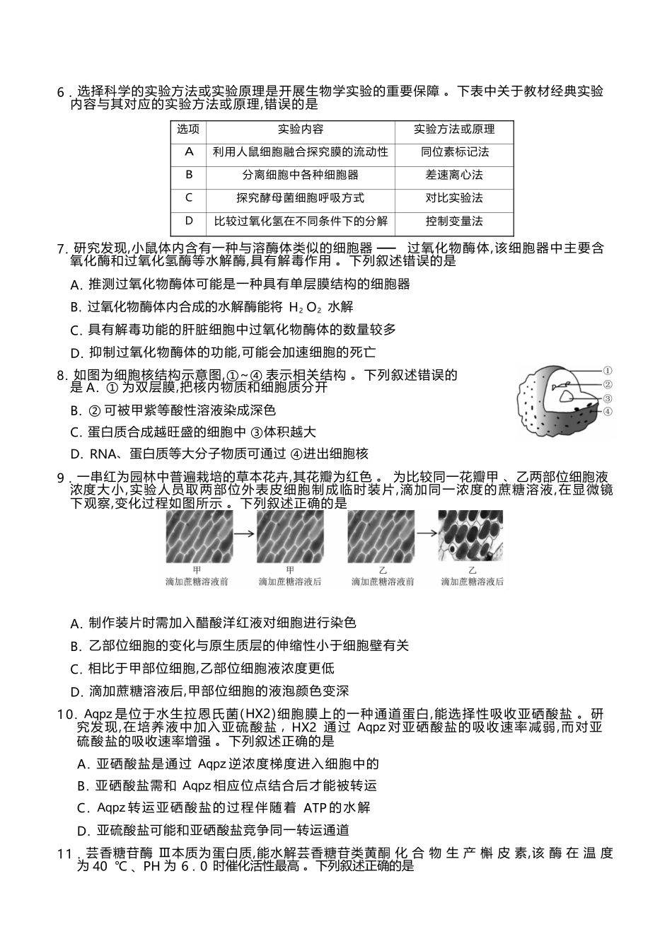 生物+答案辽宁点石联考2028届高一年级上学期期末质量监测(1.30-1.31).docx_第3页