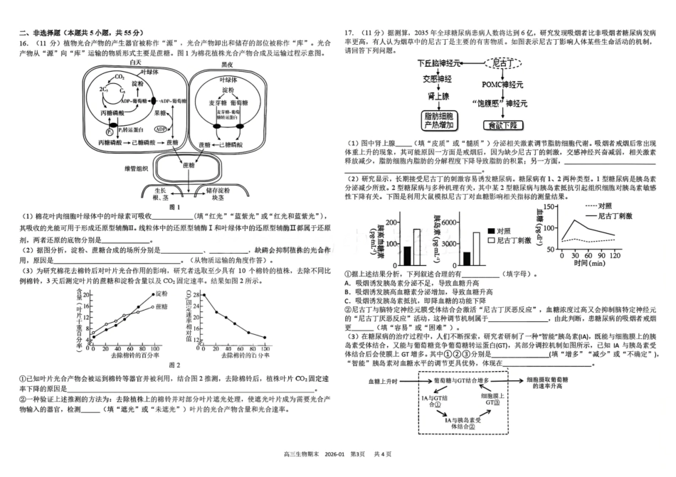 生物+答案四川成都市树德中学高2023级(2026届)高三年级上期期末测试考试(1月29-130).pdf_第3页