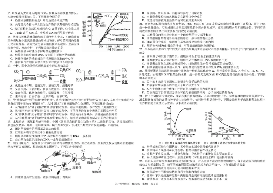 生物+答案四川成都市树德中学高2025级(2028届)高一年级上期期末测试(1.30--1.31).pdf_第2页