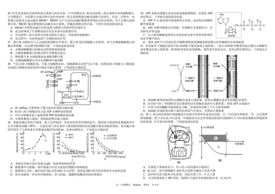 生物+答案四川成都市树德中学高2025级(2028届)高一年级上期期末测试(1.30--1.31).pdf_第3页