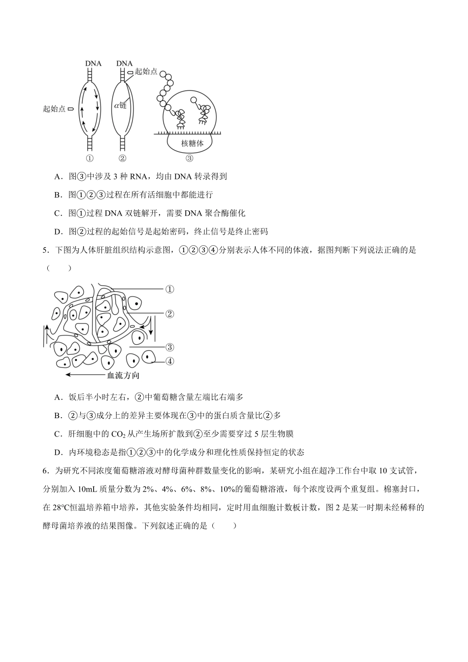 生物+答案四川字节精准教育联盟AI赋能2025-2026学年度2026届高三上学期1月期末综合能力调查(1.29-1.30).pdf_第2页