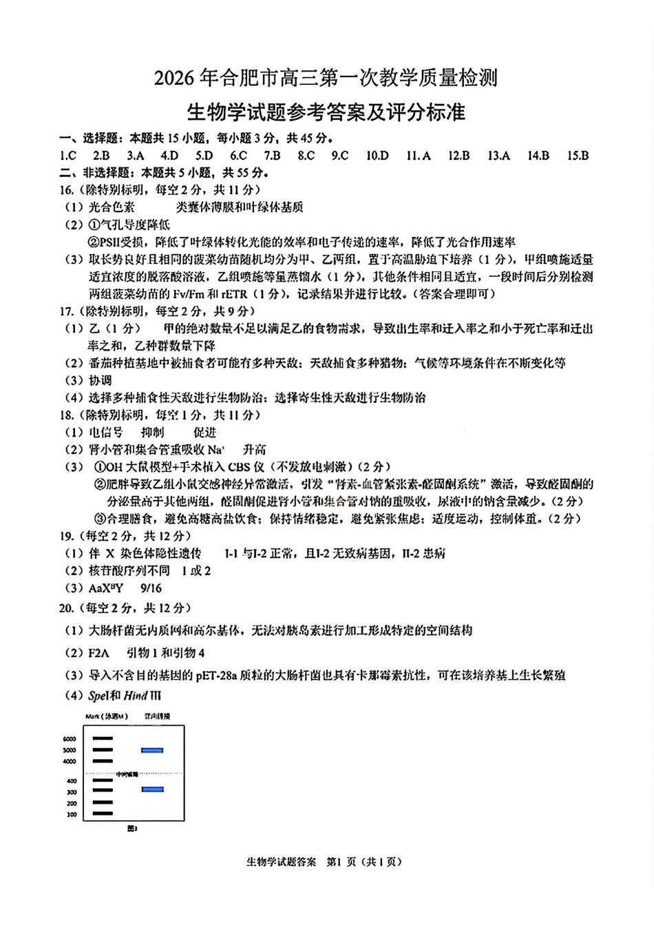 生物安徽合肥市普通高中2026年高三年级第一次教学质量检测(合肥一模)(2.9-2.10).pdf_第1页