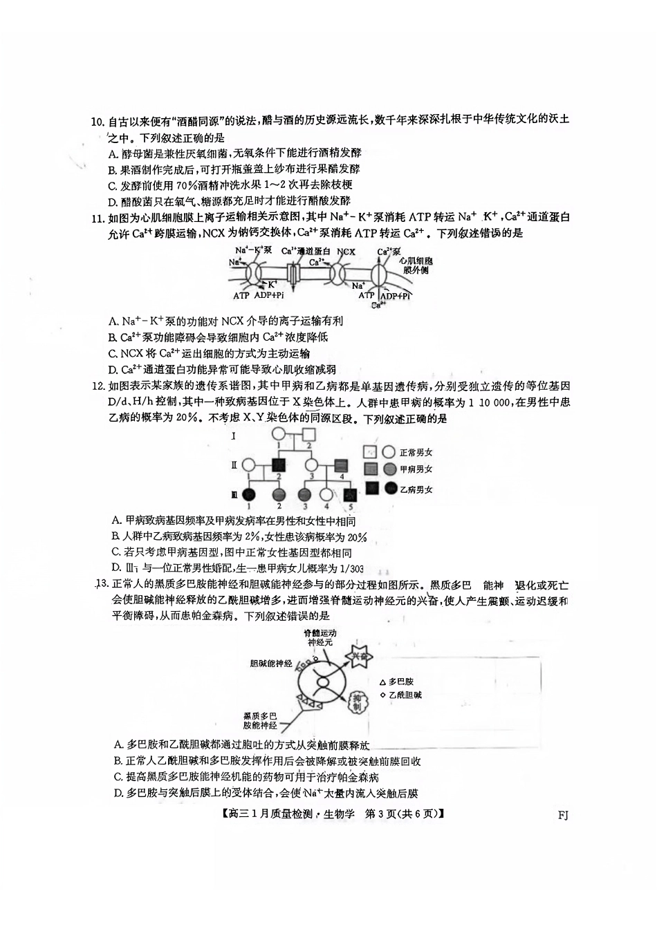 生物福建部分地市2026届高中毕业班第一次质量检测(下标FJ)(莆田一检)(1.28-1.30).pdf_第3页