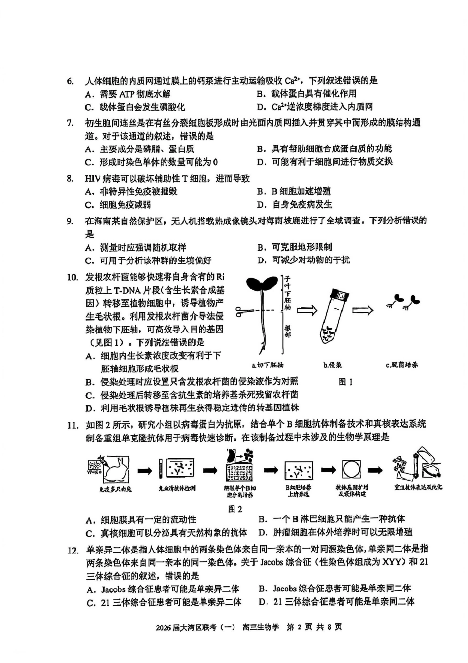 生物广东大湾区2026届普通高中毕业年级高三年级联合模拟考试(一)(大湾区一模)(1.26-1.28).pdf_第2页