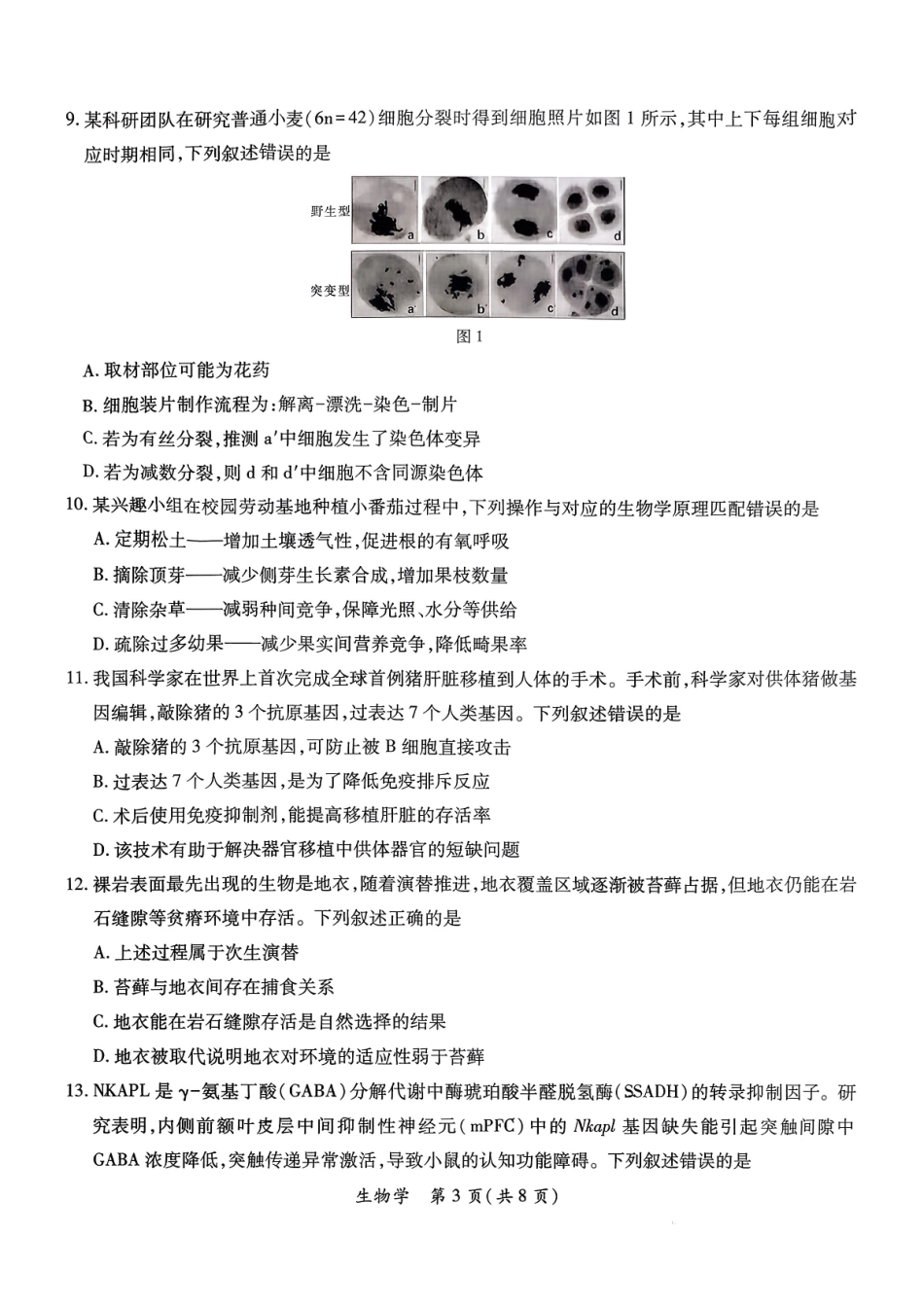生物广东茂名市2026年茂名市高三年级第一次综合测试(茂名一模)（2.2-2.4）.pdf_第3页