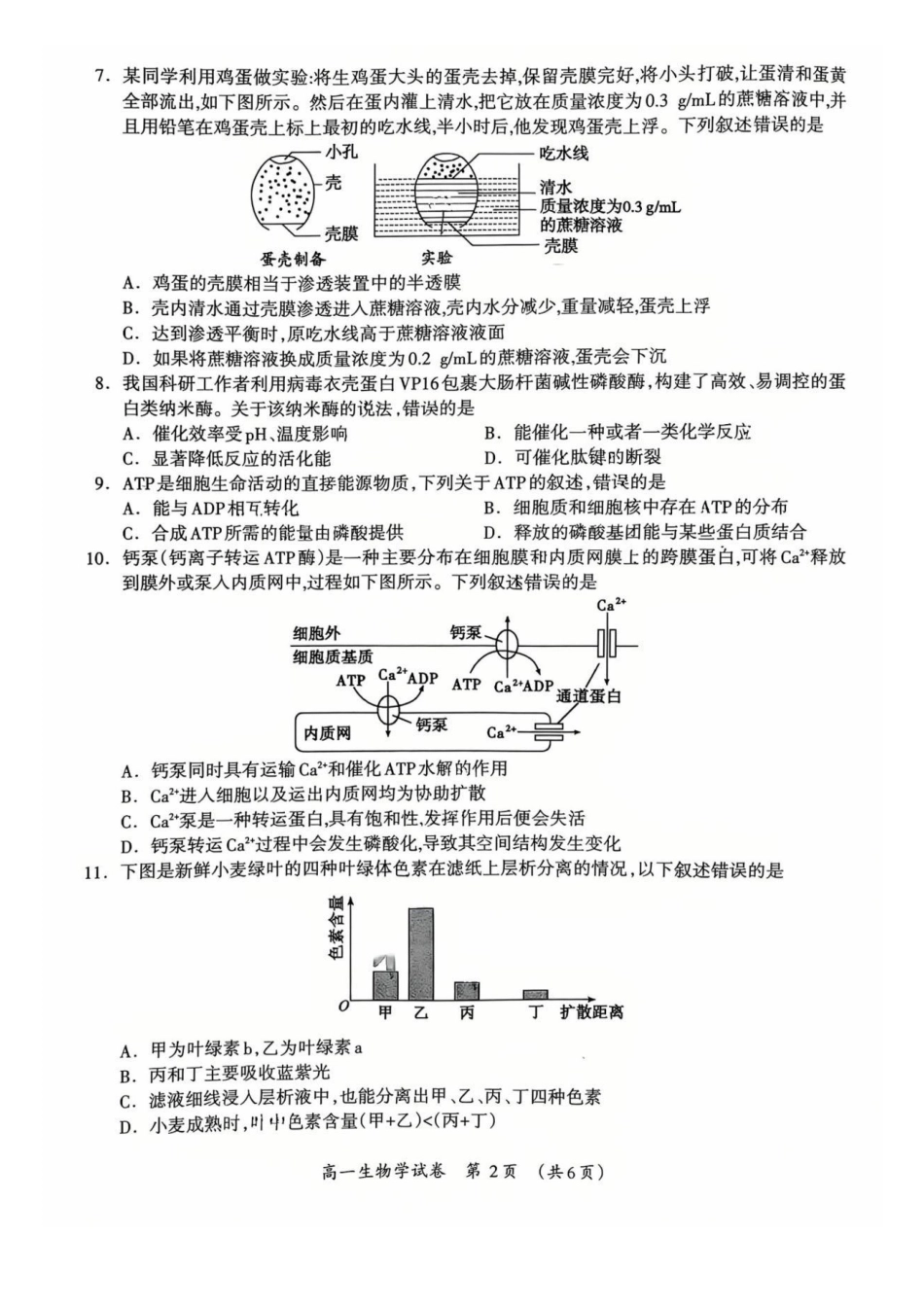 生物广西壮族自治区桂林市2025-2026学年度上学期高一年级期末教学质量监测考试(1.26-1.28).pdf_第2页