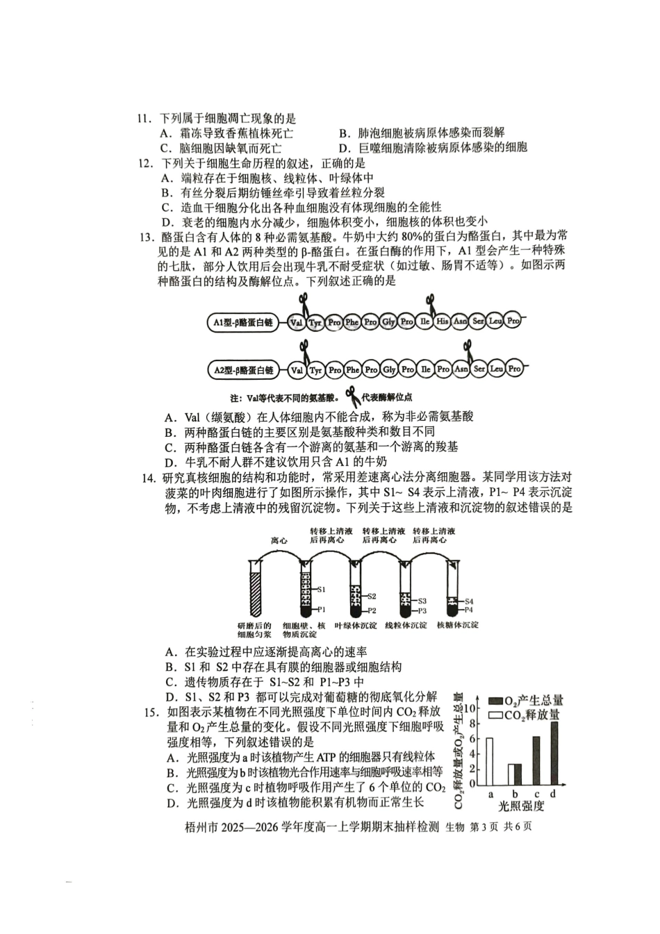 生物广西壮族自治区梧州市2025-2026学年度高一年级上学期期末抽样检测考试(1.26-1.28).pdf_第3页