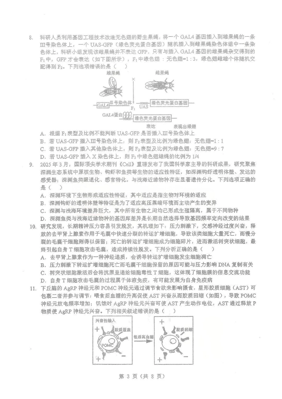生物湖北部分重点高中学校2025-2026学年度高三元月调考第二次联考(1.28-1.29).pdf_第3页