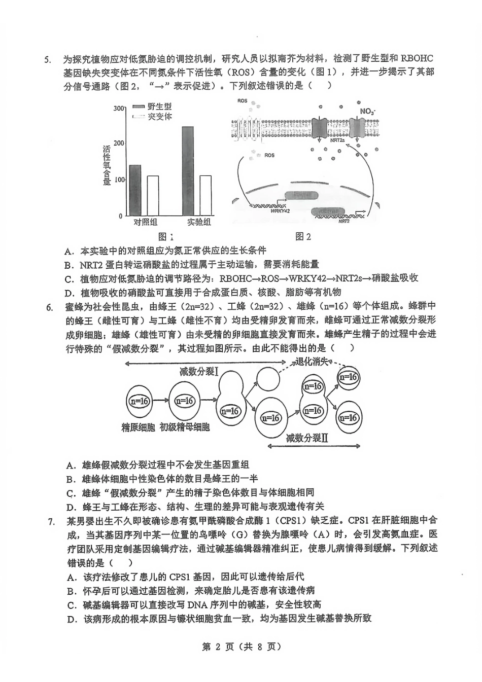 生物湖北新八校2026届高三年级元月调考暨第二次联考(新八校元调)(1.28-1.29).pdf_第2页