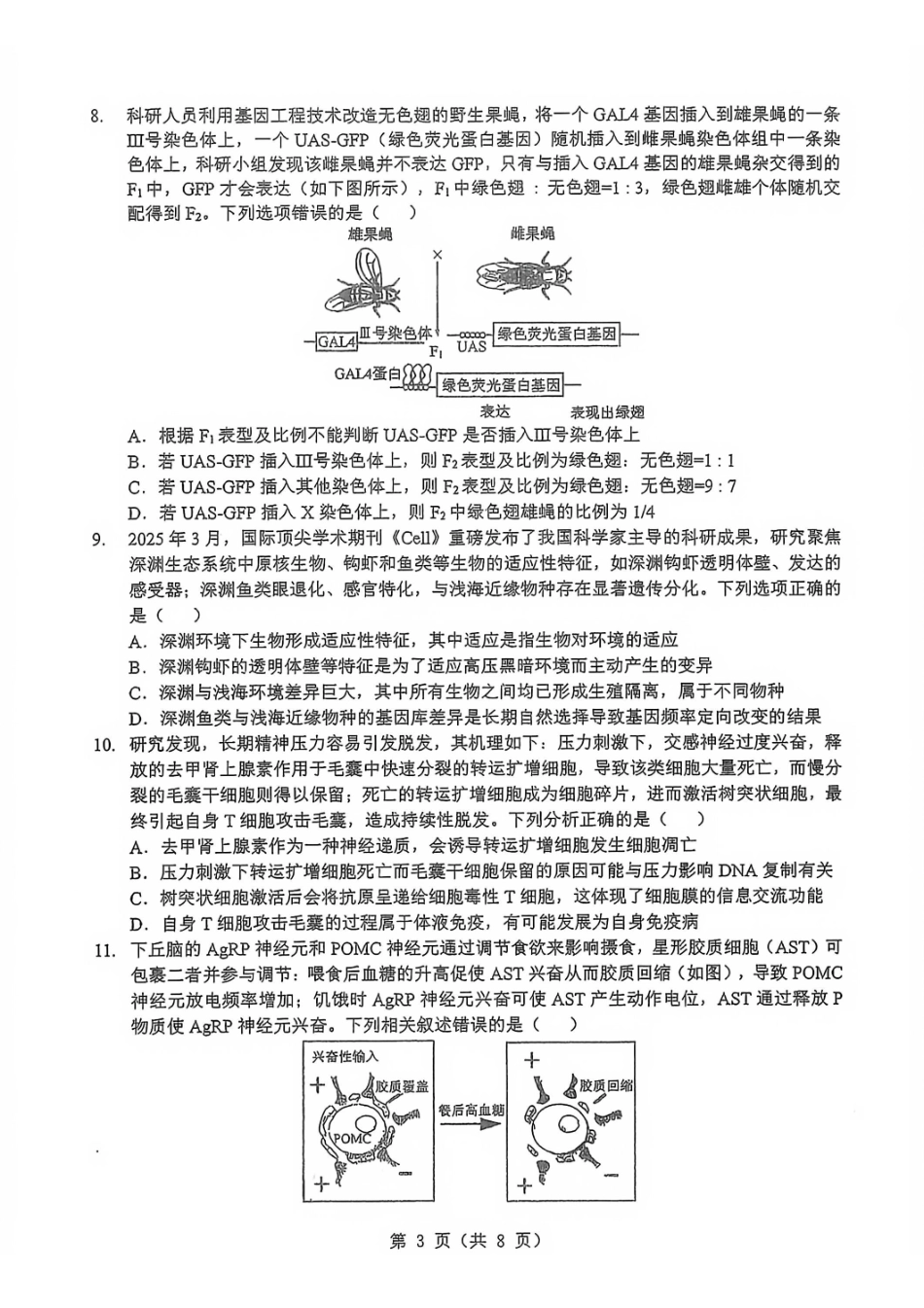生物湖北新八校2026届高三年级元月调考暨第二次联考(新八校元调)(1.28-1.29).pdf_第3页