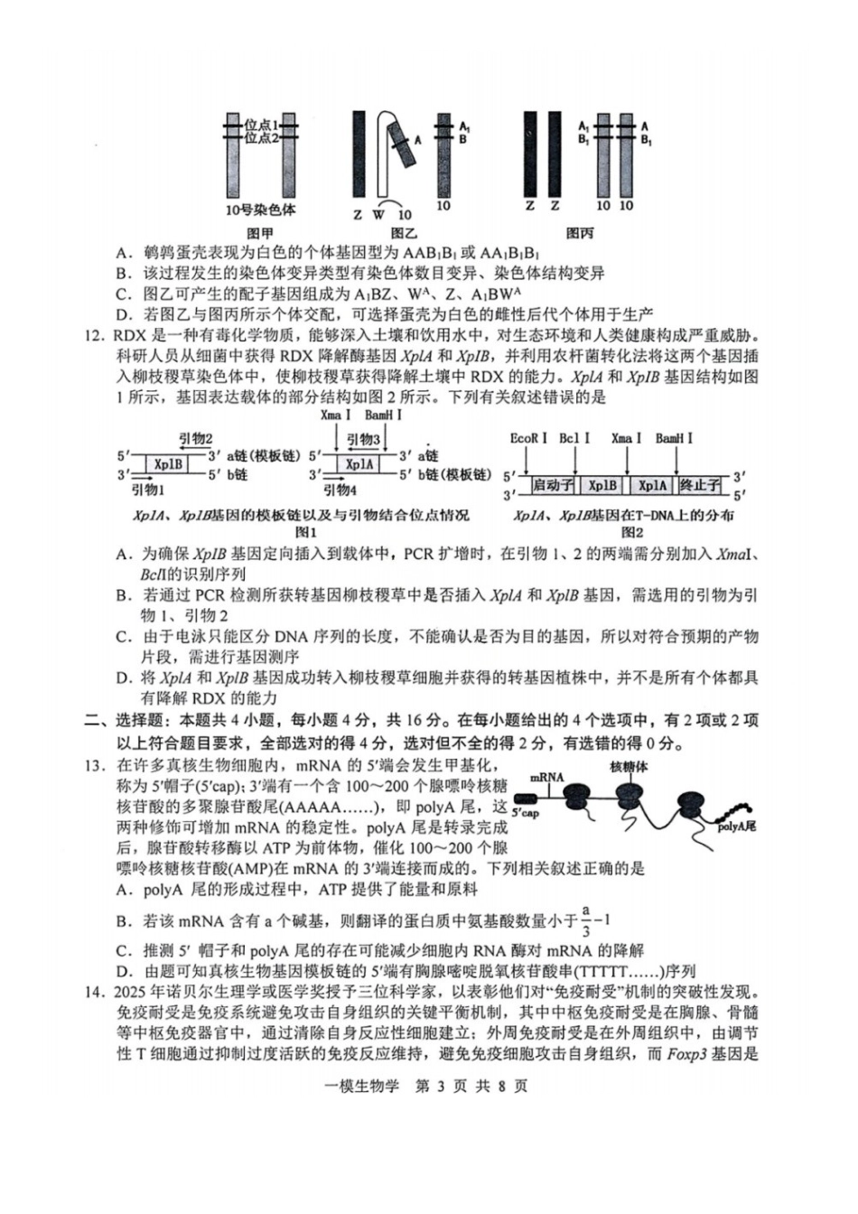 生物江西上饶市2026届高三年级第一次高考模拟考试(上饶一模)(1.29-1.30).docx_第3页