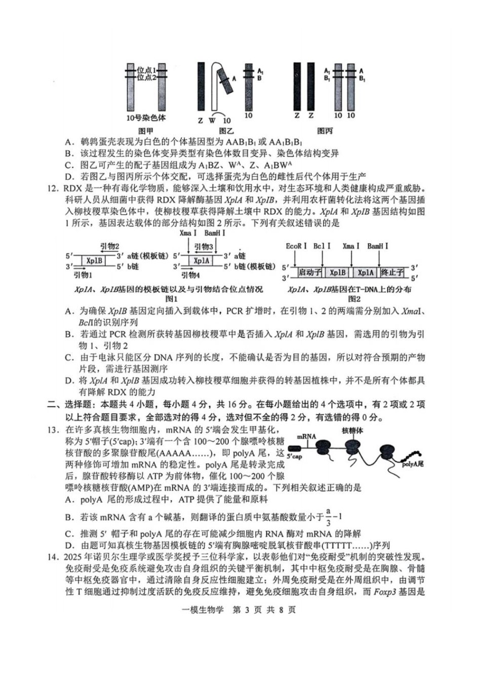 生物江西上饶市2026届高三年级第一次高考模拟考试(上饶一模)(1.29-1.30).pdf_第3页