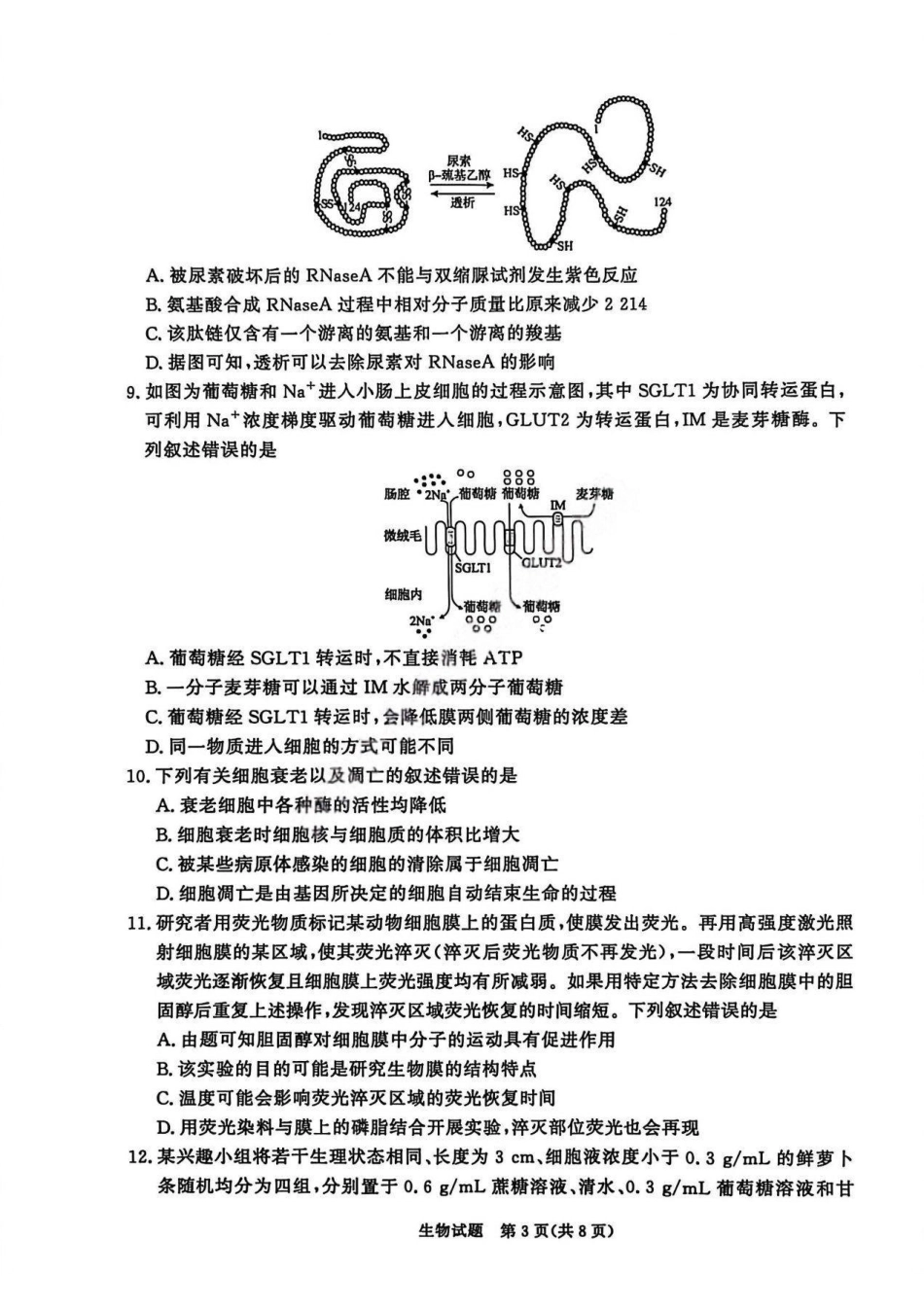 生物青桐鸣大联考河南普通高中2025-2026学年（上）高一年级期末考试（2.2-2.3）.pdf_第3页