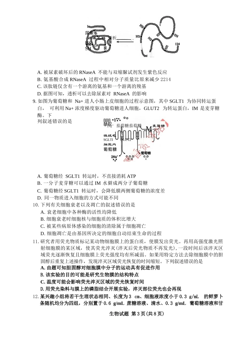 生物试卷-河南青桐鸣普通高中2025-2026学年上高一期末考试.docx_第3页