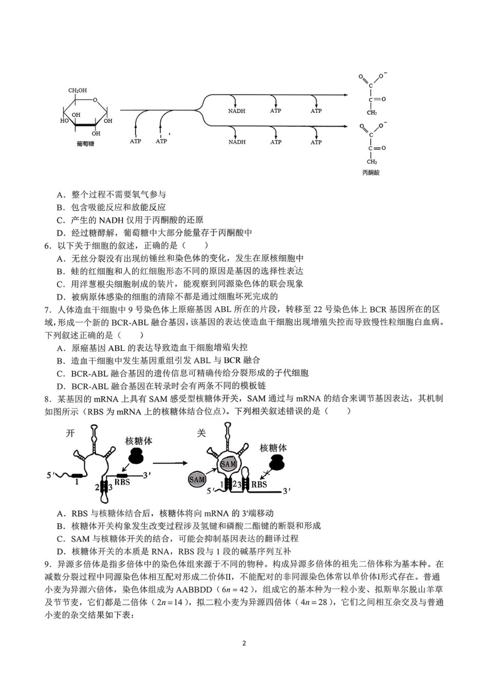 生物四川成都市成都七中2025-2026学年度上期2026届高三年级期末考试(2.4-2.5).pdf_第2页