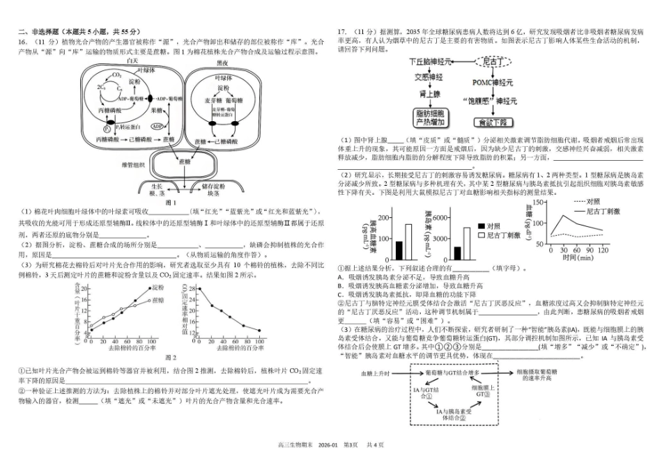 树德中学高2023级高三上期期末测试生物+答案.pdf_第3页
