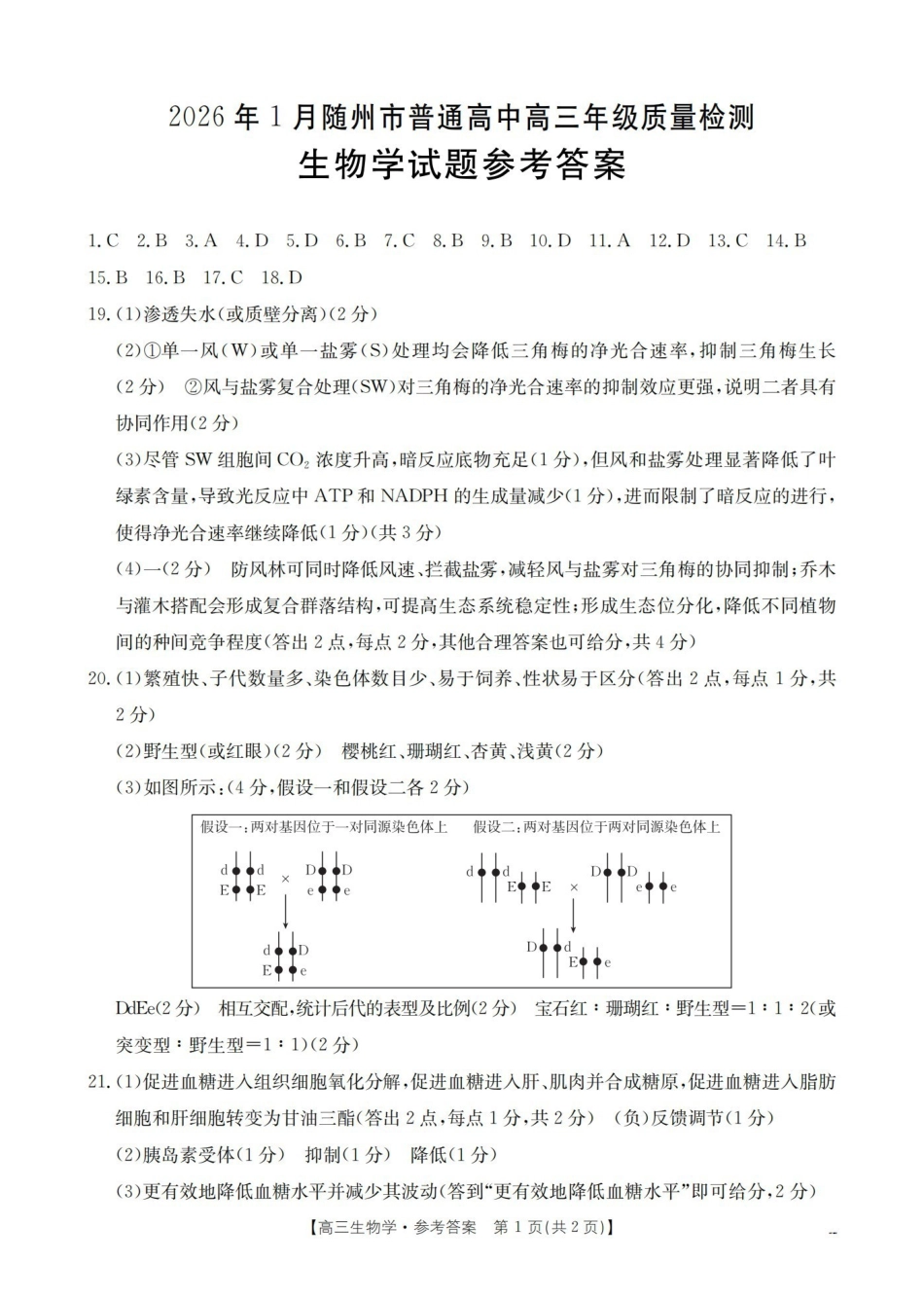 随州市普通高中2026年高三上学期1月期末质量检测生物答案.pdf_第1页