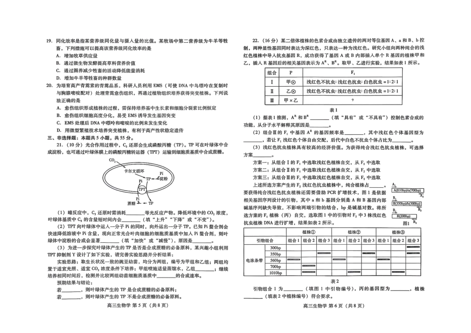 濰坊巿2026年2月高考模拟考试生物.pdf_第3页