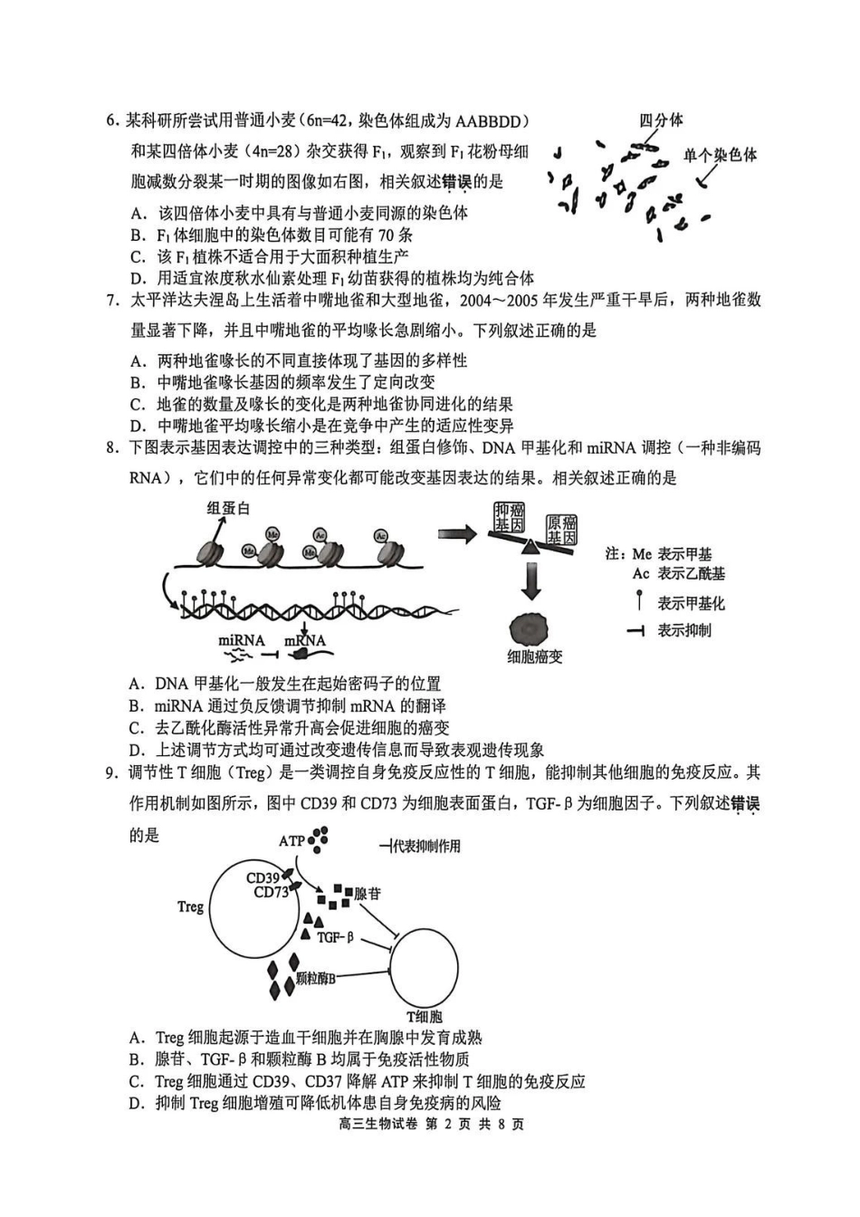 无锡市2025年秋学期高三期终教学质量调研测试生物+答案.pdf_第2页