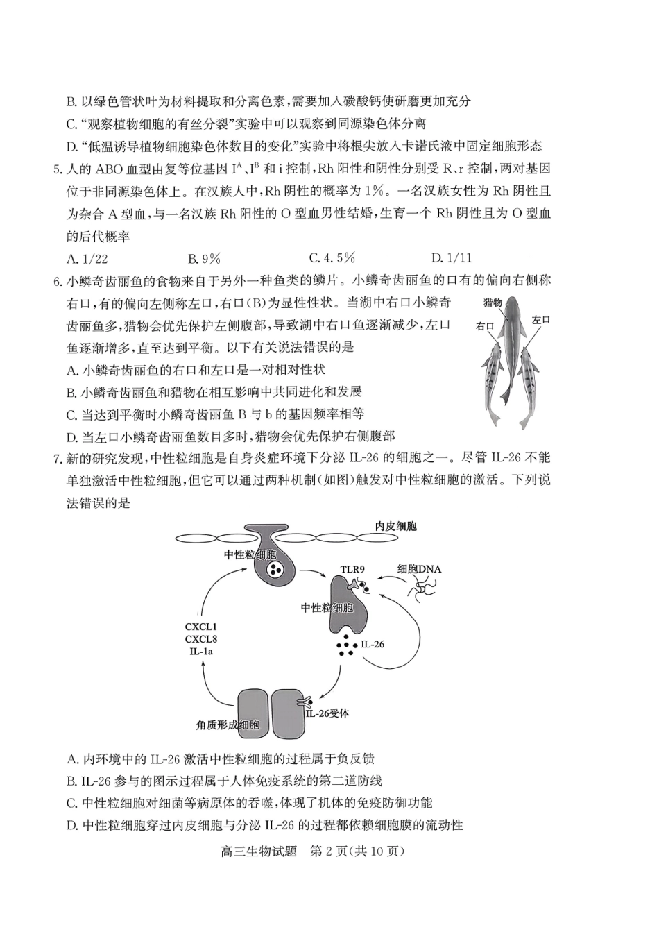 枣庄市2026届高三第一学期质量检测生物+答案.pdf_第2页