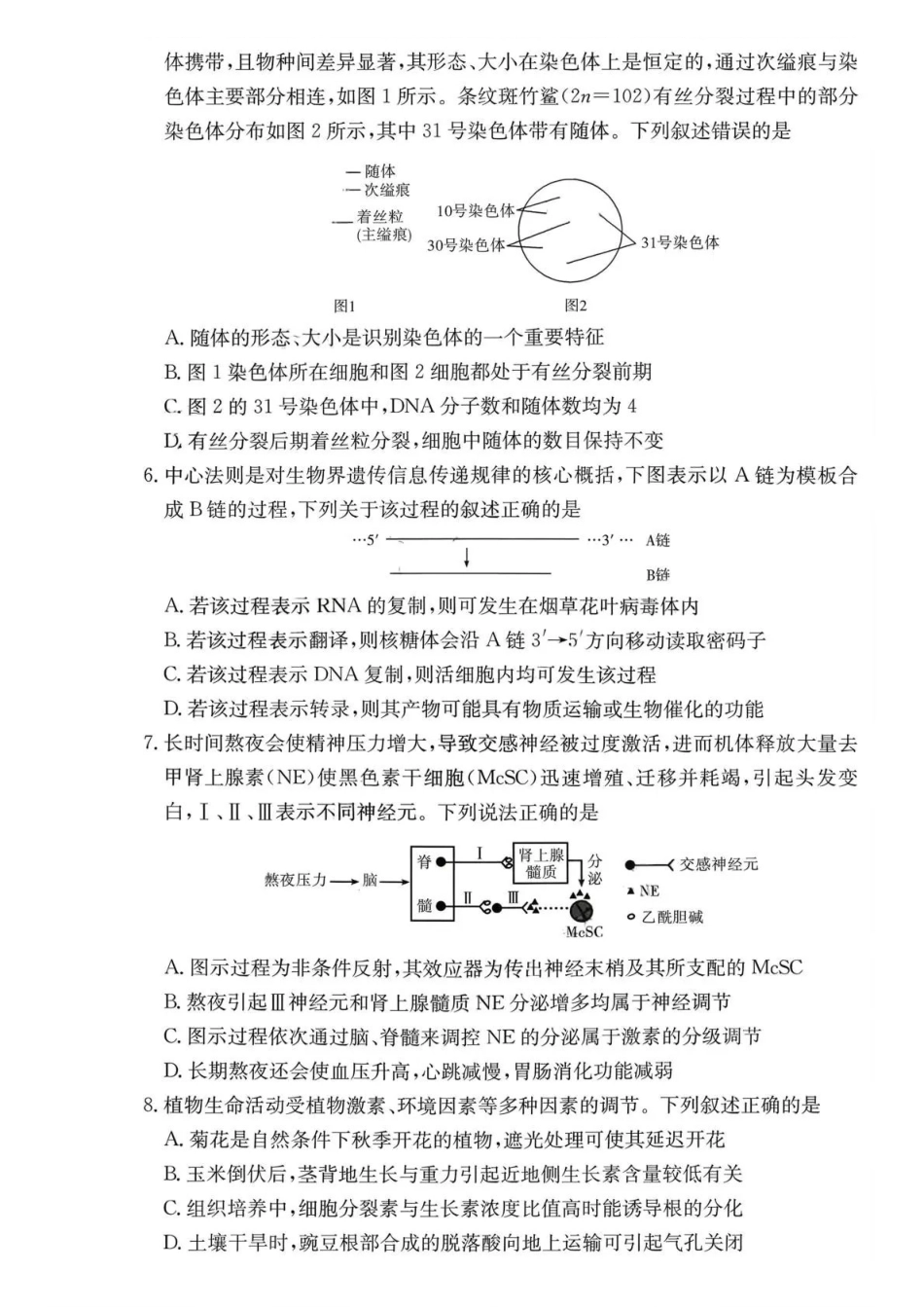 长沙市一中2026届高三月考试卷（六）生物+答案.pdf_第2页