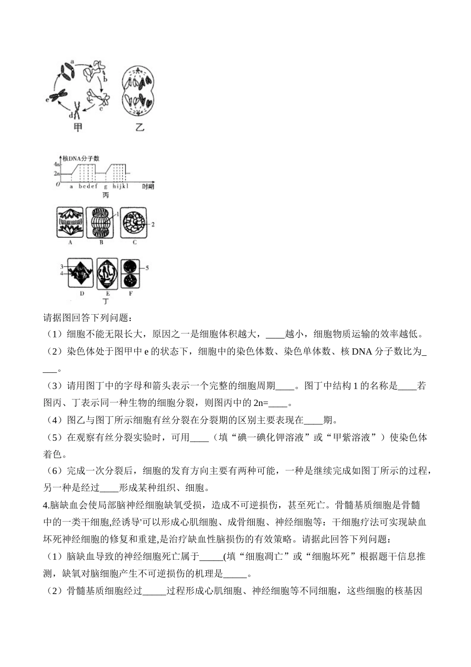 专题4 细胞的生命历程(非选择题)——高考生物学模块分练【新高考版】(含解析).docx_第3页