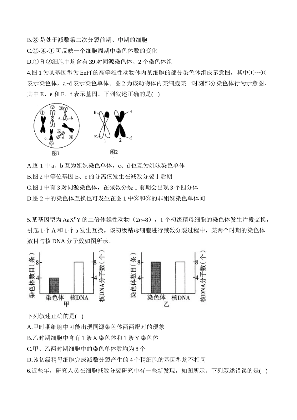 专题5 遗传的细胞学基础（选择题）——高考生物学模块分练【新高考版】（含解析）.docx_第2页