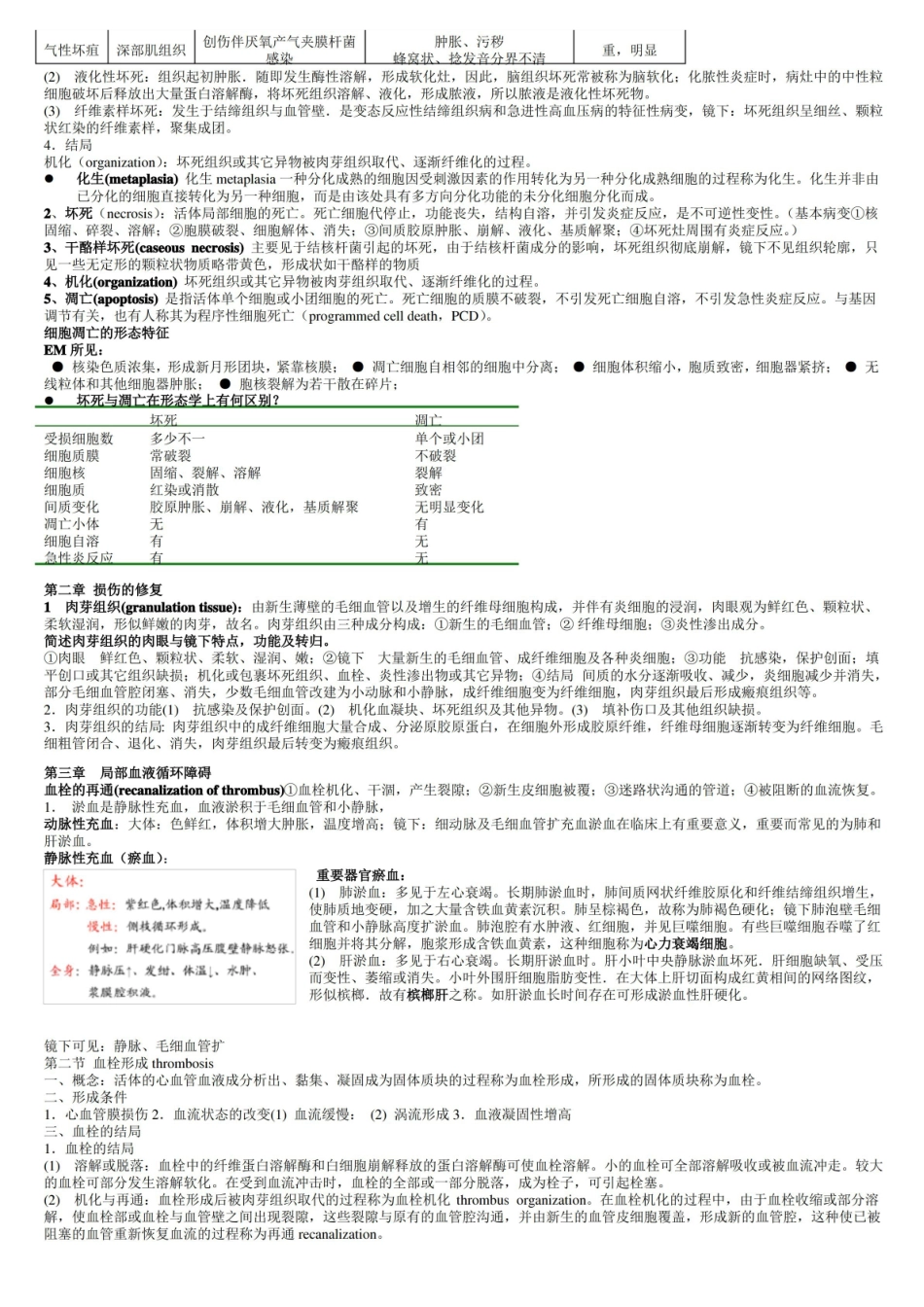 病理知识点整理.pdf_第2页