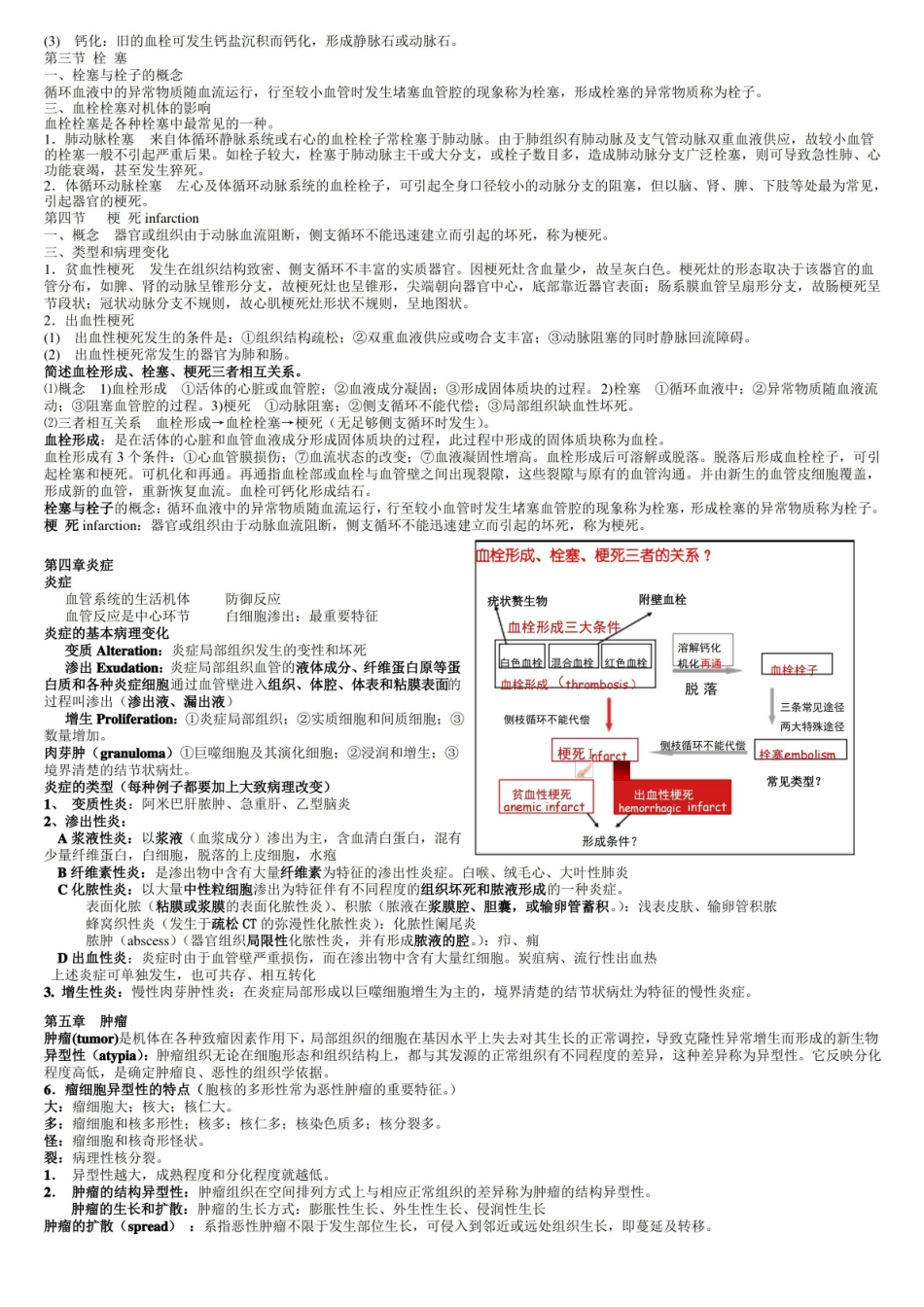 病理知识点整理.pdf_第3页