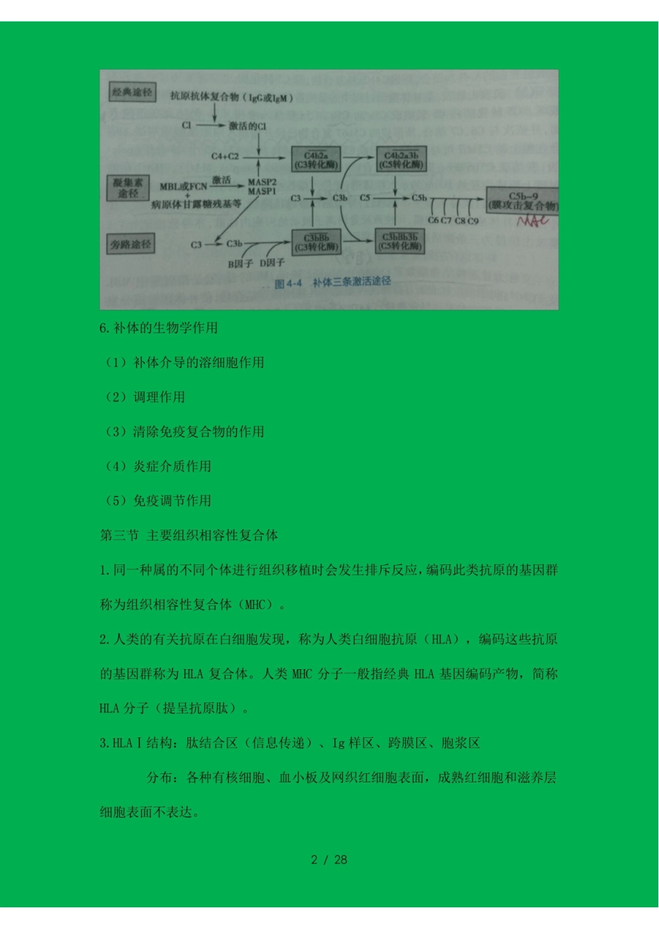 大学免疫学基础与病原生物学重点总结.pdf_第2页