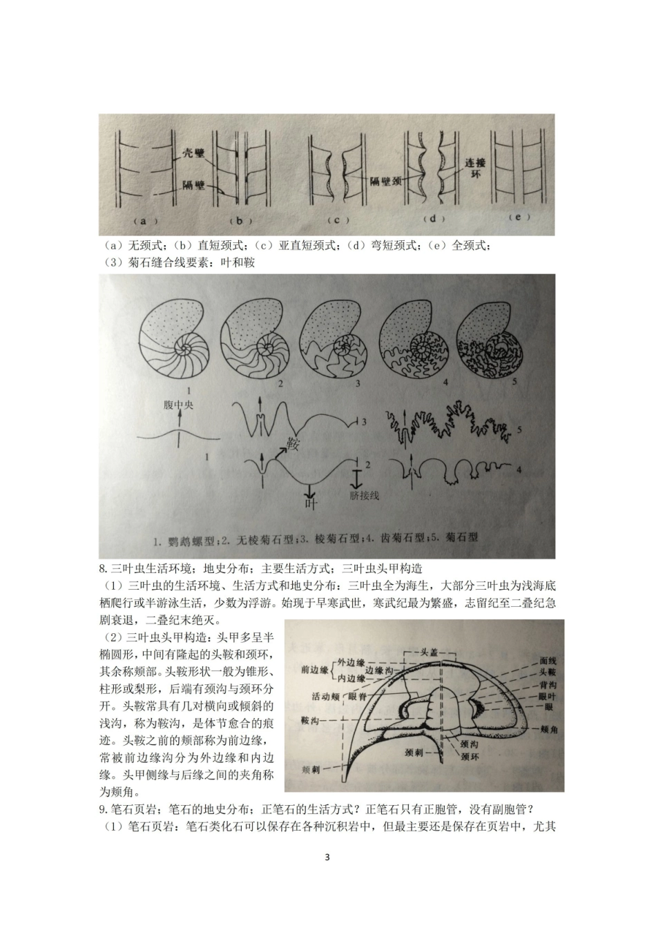 古生物概论复习资料.pdf_第3页