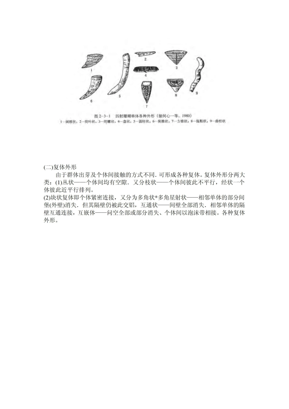 古生物学总结.pdf_第3页