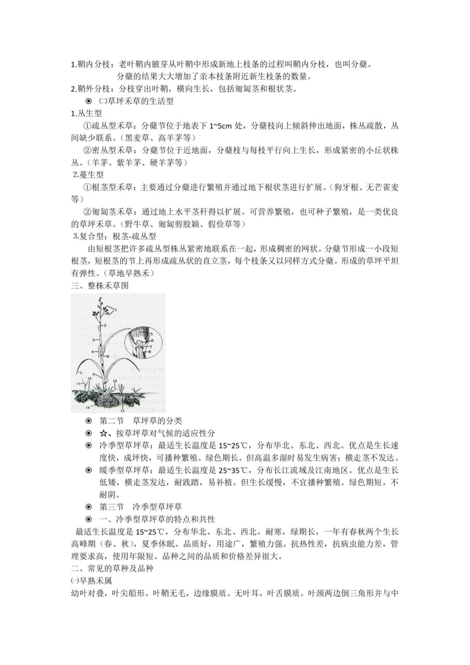 草坪学重点1111111.pdf_第3页