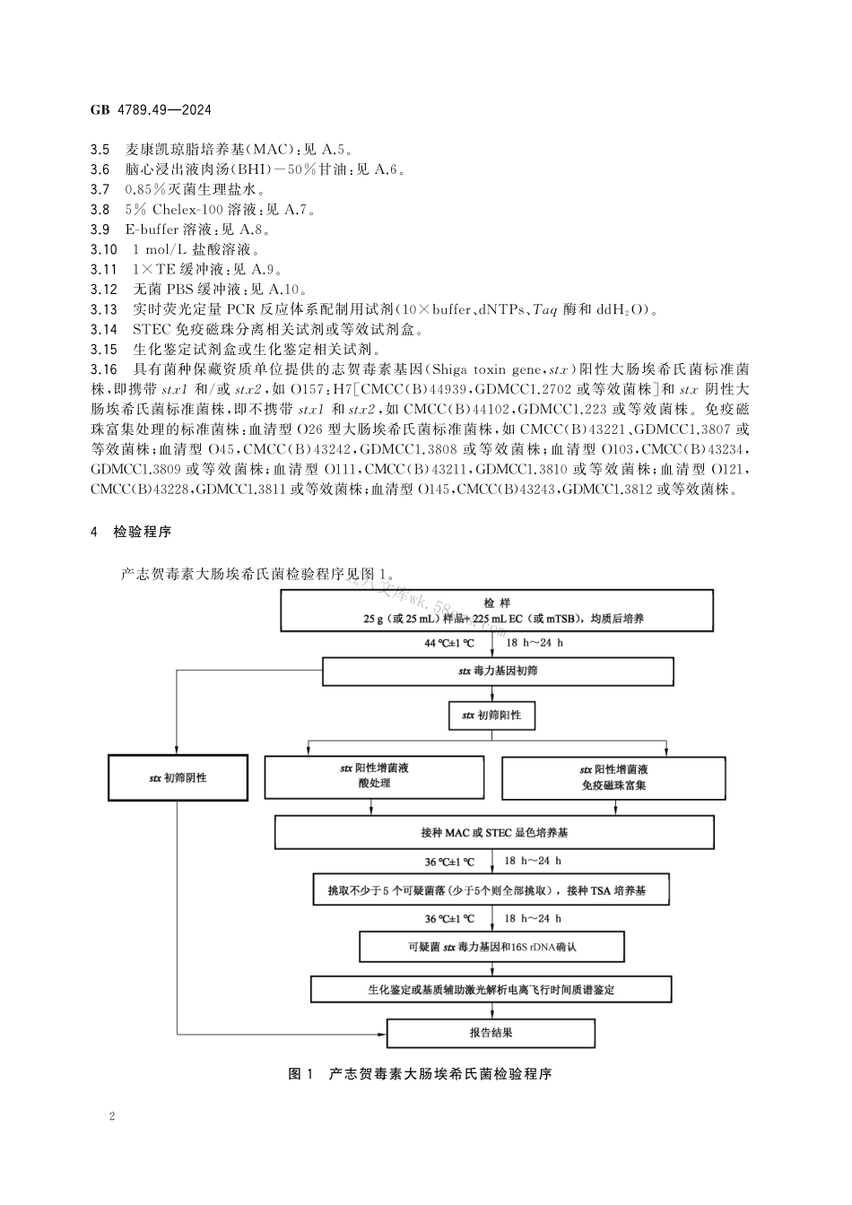 GB 4789.49-2024 食品安全国家标准食品 微生物学检验 产志贺毒素大肠埃希氏菌检验.pdf_第3页