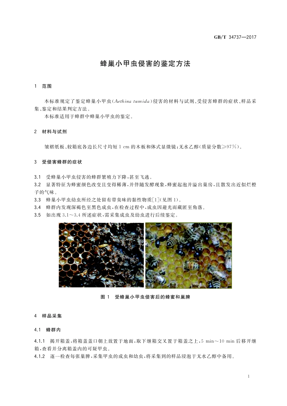 GB／T 34737-2017 蜂巢小甲虫侵害的鉴定方法.pdf_第3页