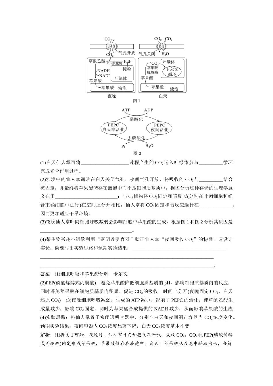 1.细胞代谢.docx_第3页