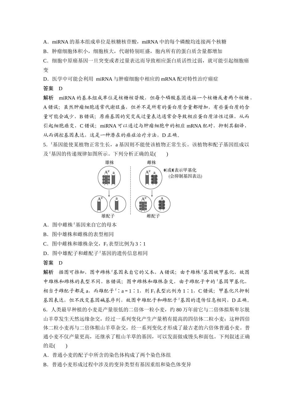 5.遗传的分子基础、变异与进化.docx_第3页