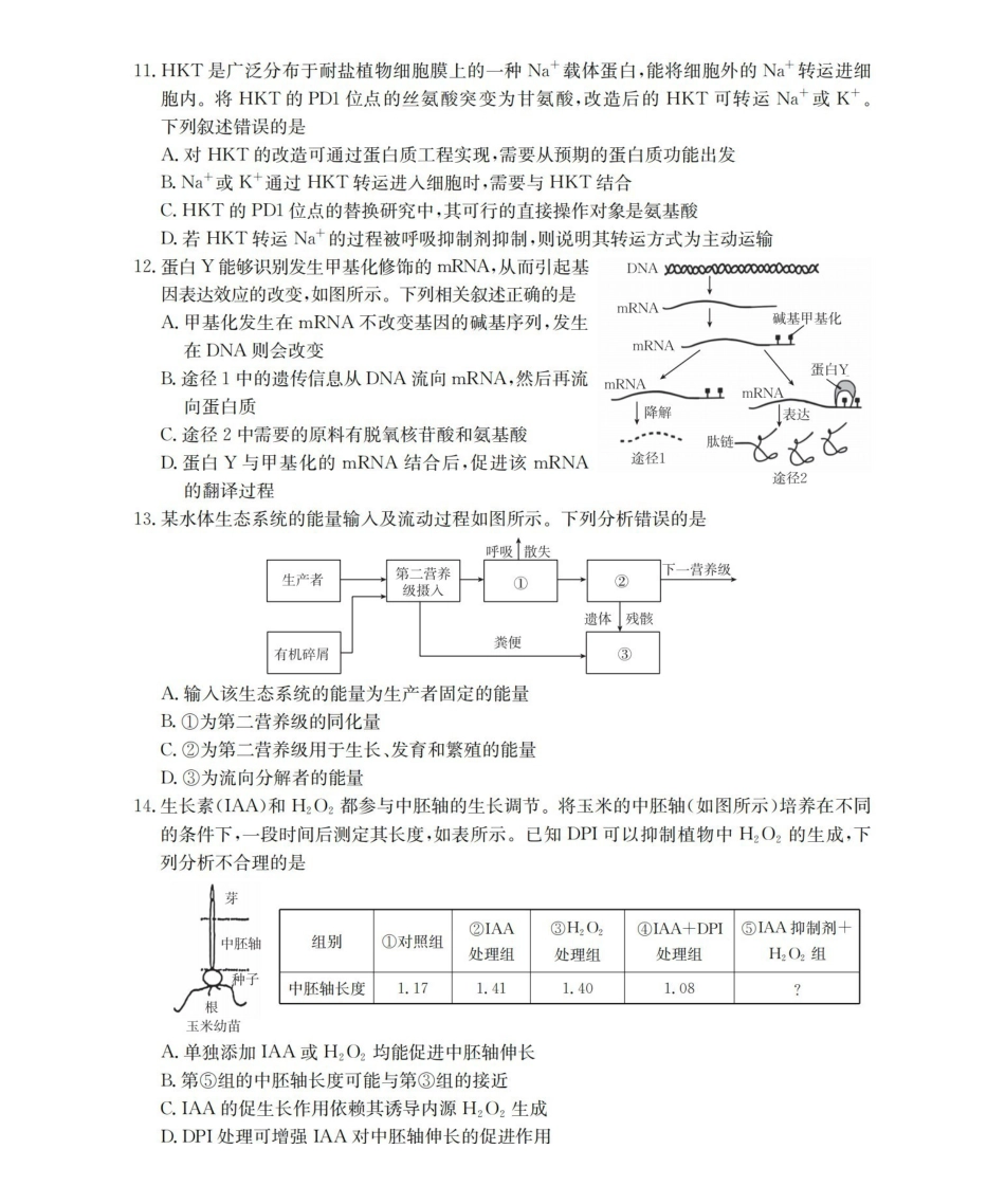 2025-2026学年度第一学期高三期末检测（26-238C）生物.pdf_第3页