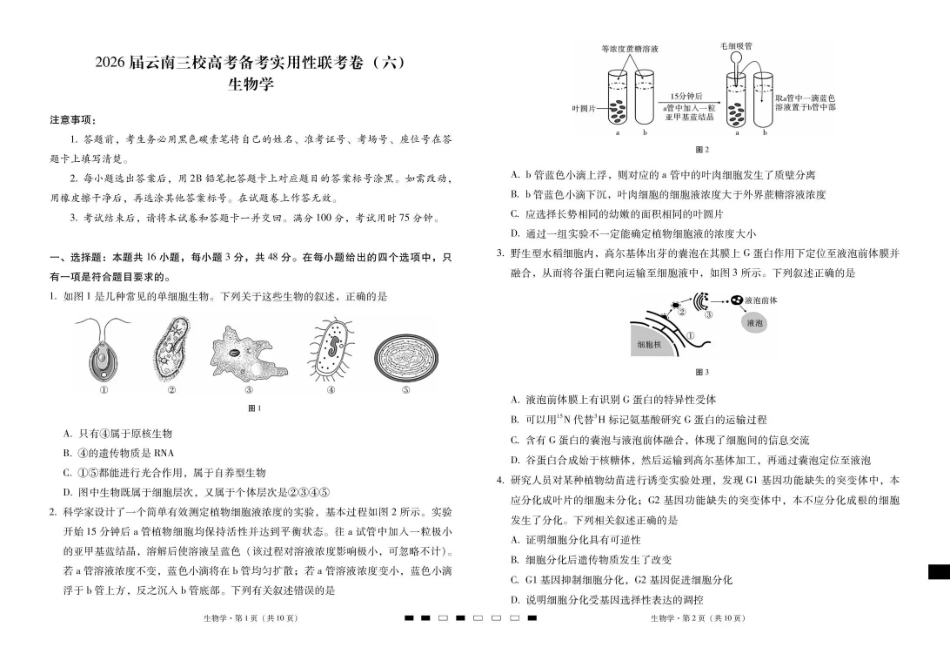 2026届云南三校高考备考实用性联考卷（六）生物.pdf_第1页