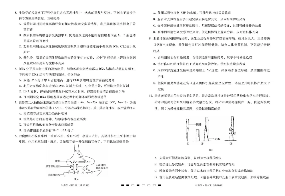 2026届云南三校高考备考实用性联考卷（六）生物.pdf_第2页